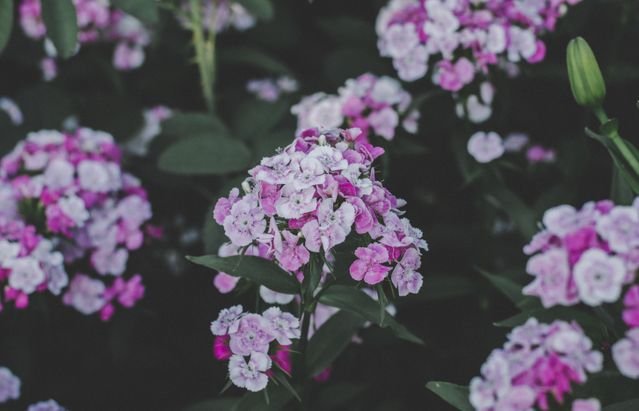 https://hellahappylife.com/